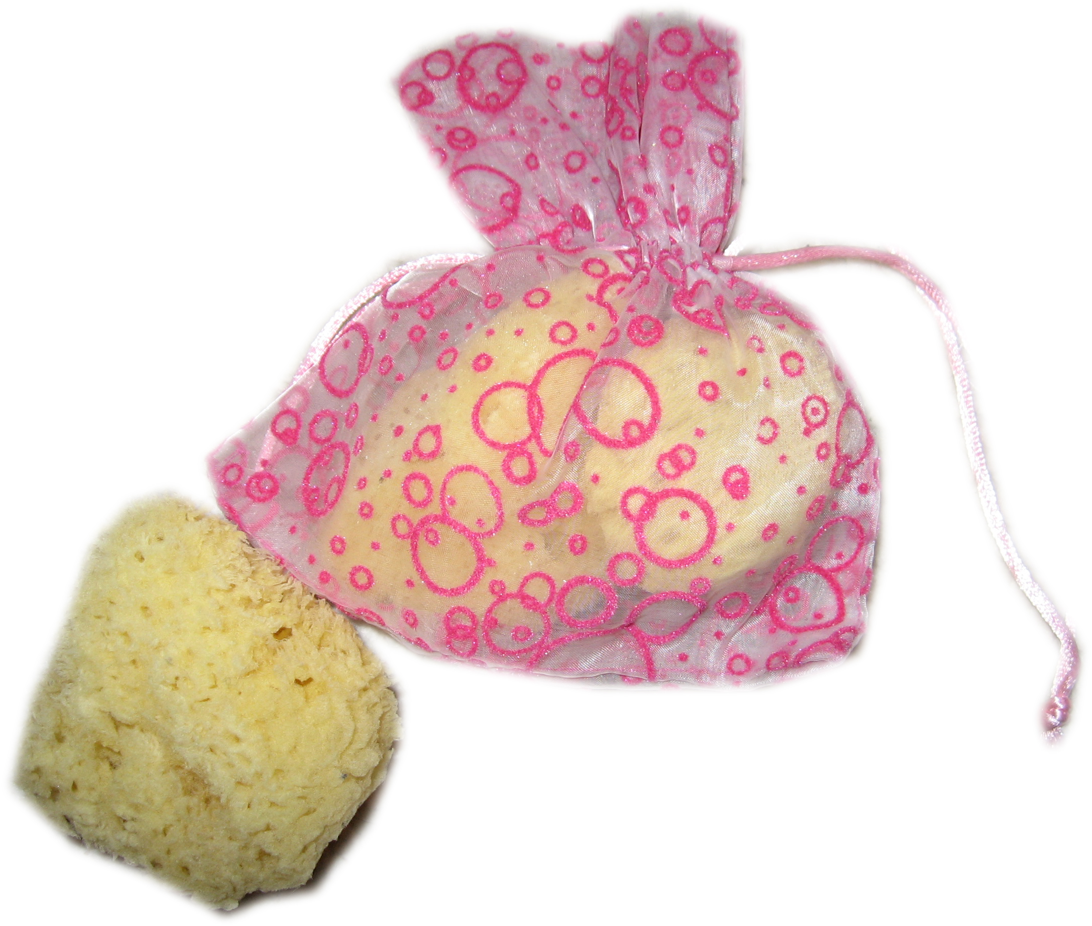 sponges.jpg